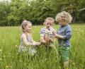 Bild: Lehmann/exb
An Waldrändern, im hohen Gras, in Gebüschen und im lichten Unterholz fühlen sich Zecken besonders wohl. Alle, die im Frühling und Sommer gerne draußen unterwegs sind, müssen mit Zeckenbissen rechnen.