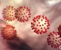 Bild: Center for Disease Control/Planet Pix via ZUMA Wire/dpa
Diese vom Center for Disease Control and Prevention (CDC) erstellte Illustration zeigt den neuartigen Coronavirus 2019.