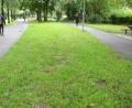 Bild: Gabi Schönberger
Viel Raum für eine neue Idee bietet der Park an der Kurt-Schumacher-Allee: Das jedenfalls findet Stadtrat Rainer Sindersberger und schlägt vor, hier Weidens Christkindlmarkt 2021 abzuhalten.