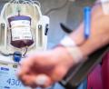 Bild: Marius Becker/dpa
Eine Blutkonserve wird während einer Spende gefüllt. Derzeit gibt es in Bayern zu wenige Blutspenden, was zu einem Mangel an Blutkonserven in den Krankenhäusern führt.