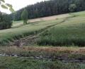 Bild: Karl Meier/exb
Für Landwirte zeigt dieses Weizenfeld bei Störnstein so etwas wie die klassische "Schneise der Verwüstung". Sie soll auf die von Tennet veranlassten Probebohrungen für den Süd-Ost-Link zurückgehen.