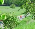 Archivbild: Hubert Ziegler
Einen Landkreislauf im Landkreis Amberg-Sulzbach wird es frühestens 2022 wieder geben.