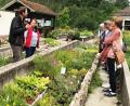 Bild: jp
Gärtnermeister Gerhard Goletz (Zweiter von links) erläutert den Besuchern des Kastler Gartenbauvereins- seine Pflanzen und sein Gemüse sowie das Gewächshaus und die Lager- Keller der Karlshofs in Lauterhofen.
