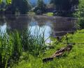 Bild: Fischereiverein Oberviechtach/exb
Zum ersten Mal fand das Königsfischen des Fischereivereins Oberviechtach am Hahnenweiher in Schönsee statt.