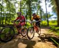 Symbolbild: Peter Steffen
Mountainbiken ist im Trend. Das Naturparkland Oberpfälzer Wald soll Trails erhalten.