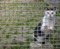 Bild: Gabi Schönberger
Der Neubau des Tierheims Weiden rückt näher.