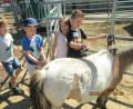 Bild: bk
Vier erlebnisreiche Tage verbrachten Vorschulkinder auf der Pferderanch in Thurndorf.