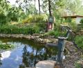 Bild: hcz
Aus einem verwilderten Gelände nahe des Waldfriedhofs haben die Mitglieder des Fördervereins eine paradiesische Naturoase gemacht. Seerosen blühen auf dem Teich.