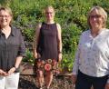 Bild: Dimper, Robert
Wechsel in der Kita Kunterbunt (von links): Sabine Bogner (BRK Amberg-Sulzbach), die scheidende Leiterin Gisela Herbst-Schötz, Anja Hopf (BRK Amberg-Sulzbach) und die neue Chefin Susanne Hammer.