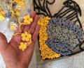 Bild: gri
Auch die Yarngang ist dabei: Zehn Frauen haben Blüten gehäkelt und gestrickt und gestalten auf diese Weise einen außergewöhnlichen Blumenteppich, der dann bei der Asphaltkapelle in Etsdorf zu sehen sein wird.