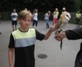 Bild: Marco Stobitzer/exb
Die Schleiereule von Birgit Freundl ist ziemlich zutraulich. Viele Kinder trauten sich, den großen Vogel zu streicheln.