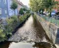Bild: Eichl
Solange sie in ihrem Bett bleibt, die Floß, ist es eine Freude, an ihren Ufern zu wohnen. Der Markt arbeitet an einem Hochwasserschutzkonzept für den Fall, dass das Flüsschen wieder zerstörerische Dimensionen annimmt.