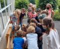 Bild: jzk
Interessiert betrachteten die Erstklässler das rege Treiben der Bienen in einer Bienenwabe.
