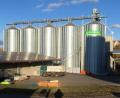 Bild: lei
Platz für 5 000 Tonnen Getreide bieten die fünf neu gebauten Silos des Raiffeisen-Lagerhauses in Edelsfeld.