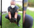 Bild: Polizeiinspektion Sulzbach-Rosenberg
Klingt komisch, ist aber so: Polizeihauptkommissar Michael Kaschny lässt die Beute frei.