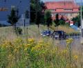 Bild: Stephan Huber
Für die einen sind das Wildkräuter, für die anderen Unkraut: Betriebshof und Naturschützer hoffen auf mehr Verständnis bei der Landschaftspflege. Im Bild ein Stück Natur an der Leopoldstraße bei den Franzosenäckern, unweit des Industriegebietes.