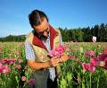 Bild: ubb
Bio-Landwirt Josef Schmidt kontrolliert täglich den Stand im Mohnfeld. Er ist zufrieden. Jedoch verzögere sich heuer wegen des kalten Frühlings die Ernte um ein paar Wochen.