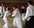 Bild: Kathleen Walberer/exb
Geübt wurde in Premenreuth unter anderem die Wurftechnik Kote gaeshi. In der Bildmitte Gruppenleiter Sergej Rudakovski aus Chemnitz mit Lukas Karakuzu, einem Kind aus der Aikidogruppe Kastl.