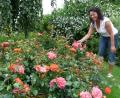Bild: Portner
Heidi Albang freut sich über die zauberhaften Blüten der wuchsfreudigen Rose 'Gebrüder Grimm'.