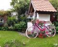 Bild: Ulrich Fuchs/exb
Ulrich Fuchs aus Dieterskirchen macht aus ausrangierten Gegenständen echte Schmuckstücke - wie aus diesem alten Fahrrad.