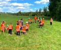 Bild: fjo
Nicht nur im Wald tummeln sich die Kinder mit Walderlebnis-Pädagogin Erika Grötsch (im Hintergrund) ei der ersten Veranstaltung im Ferienprogramm. sondern auch auf der grünen Wiese.