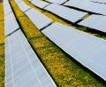 Symbolbild: Nicolas Armer/dpa
Löwenzahn-Blumen blühen auf einer Photovoltaik-Freiflächenanlage in Bayern. Einen richtungsweisenden Beschluss zur Nutzung von Solarenergie hat der Gleiritscher Gemeinderat gefasst.