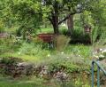Bild: ds
Viele Gäste lockt der Kräutergarten am Kirchenreinbacher Schloss an, der von Mitgliedern und Helfern des Gartenbauvereins Schmidtstadt und Umgebung gepflegt wird.