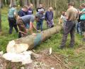 Bild: FBG Tirschenreuth/exb
Nach einjähriger Corona-Zwangspause kamen in einem Waldstück zwischen Pilmersreuth an der Straße und Plößberg Mitglieder zur ersten Informationsveranstaltung der Forstbetriebsgemeinschaft Tirschenreuth zusammen.