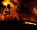 Bild: Marios Lolos/dpa
Die Feuerwehr kämpft unermüdlich, um die Waldbrände einzudämmen, die in ganz Griechenland ausgebrochen sind. Ein wenig Unterstützung soll auch aus Amberg kommen. Der Verein Hellas Amberg startet eine Spendenaktion.