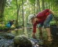 Bild: exb/Martin Hertel
Freiwillige säuberten im Fichtelgebirge einen Flussabschnitt des Weißen Mains bei Bischofsgrün.