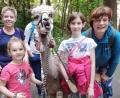 Bild: br
Ein tierisches Erlebnis der besonderen Art war die Wanderung mit Lamas und Alpakas vom Elfenteich, eine Veranstaltung zum diesjährigen Ferienprogramm der FGV-Ortsgruppe Speichersdorf, mit der Jugendleiterin Martina Dötsch (ganz rechts) als Organisatorin.