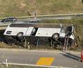 Bild: vifogra/dpa
Ein umgekippter Reisebus liegt an der Straße. Bei dem Busunfall im niederbayerischen Landkreis Kelheim sind vier Menschen schwer verletzt worden. Der Reisebus sei ohne Beteiligung anderer Fahrzeuge umgekippt, erläuterte ein Sprecher der Polizei.