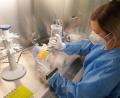 Symbolbild: eg
Auf wenigstens 100 Teilnehmer für die Antikörperstudie für ihre Doktorarbeit hatte Kristina Schraml vom Labor von Bio-Variance gehofft. Jetzt sind es bereits 1000 Probanden und die Anmeldung ist weiter möglich.
