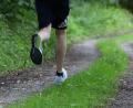 Bild: Lions-Club Weiden
Waldweg oder Asphaltpiste - die Strecke beim „1. Weidener Löwen-Lauf“ ist frei wählbar.