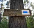 Bild: ind
Ein Schild weist auf den neuen Ehenbach-Weg hin – markiert ist er mit einem blauen Querbalken auf einem weißen Rechteck.