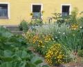 Bild: Egbert Völkl/exb
Der Bauerngarten vorm Elternhaus von Egbert Völkl wurde 2018 neu angelegt.
