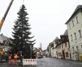 Bild: Petra Hartl
Ja ist denn heut' schon Weihnachten? Natürlich nicht. Aber die Suche nach passenden Weihnachtsbäumen für den Amberger Marktplatz und den Malteserplatz (Bild) muss frühzeitig beginnen, weil sie zuweilen nicht ganz einfach ist.