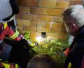 Bild: Daniel Irlbacher/exb
Die Freiwillige Feuerwehr Nabburg musste zu einem ungewöhnlichen Rettungseinsatz ausrücken. Ein Igel steckte mit der Vorderseite in einem Mauerspalt fest.