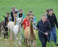 Bild: dob
Die fünf plüschigen Alpakahengste standen bei der OWV-Wanderung im Mittelpunkt.