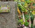 Bild: Portner
Farbenfroher Empfang: Im 4000 Quadratmeter großen Garten in Gunzendorf wird farbenfroh gegartelt.