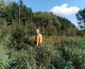 Bild: Portner
Schilf, hohe Gräser, Bäume: Ratlos schaut Friedrich Bauer auf seine Fichten auf der Waldwiese (im Hintergrund der Hochwaldbestand). Er soll jetzt auf Anordnung der Unteren Naturschutzbehörde einen großen Teil davon absägen.