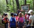 Bild: Regina Baumann./exb
Erkundung im Wald: Die Natur-Themen kamen bei den Kindern gut an.