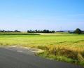 Bild: lnz
Auf derzeit noch landwirtschaftlich genutzten Flächen im Bereich zwischen der Ortsverbindungsstraße von Mitterteich nach Oberteich und der Autobahn (hinten) soll ein neues Logistikzentrum der Schott AG entstehen. Links im Bild die bestehende Logistikhalle des Unternehmens.
