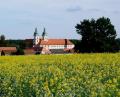 Archivbild: do
Inmitten natürlicher Farbenpracht erstrahlt das Kloster Speinshart. Bald könnte hier ein Wissenschaftszentrum für Künstliche Intelligenz entstehen.