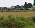 Bild: bö
Für das neue Wohnbaugebiet "G'steibat" mit seinen 24 Parzellen in Mendorferbuch plant der Marktes Hohenburg im Oktober den Spatenstich.