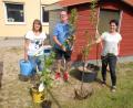 Bild: pop
Leiterin Michaela Mehringer (links) bedankt sich bei Petra und Bernhard Tischler vom Gartenbauverein für die Spende eines Allergiker-Apfelbaums.