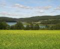 Bild: Thomas Schaller
Wanderungen am Eixendorfer Stausee gehören zum Angebot des VHS-Verbunds im Landkreis Schwandorf.