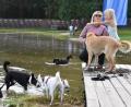 Bild: hcz
Die kleine Lise und ihre Mutter waren mit "Pauli", "Lotte" und "Ola" gekommen. Zahlreiche andere Hunde schlossen sich schnell an.