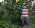 Bild: Herbst/exb
Die riesigen Sonnenblumen in seinem Garten stellen Karl-Heinz Herbst in den Schatten. Mit seinen politischen Konkurrenten will es der Grünen-Direktkandidat genauso machen.