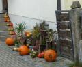 Bild: sl
Herbst